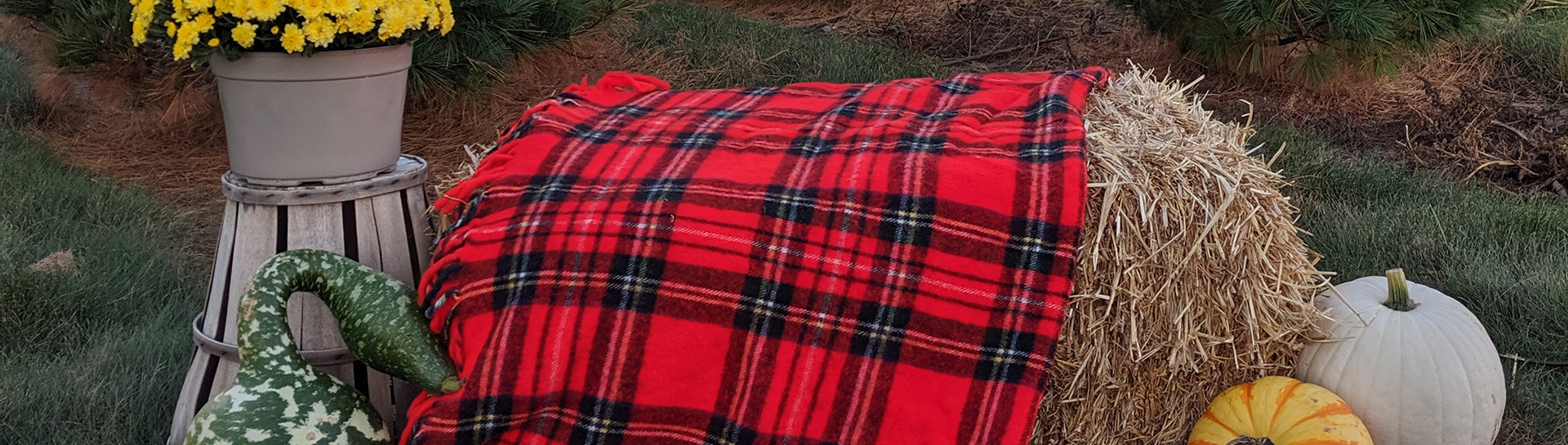 Events Hunt’s Christmas Tree Farm