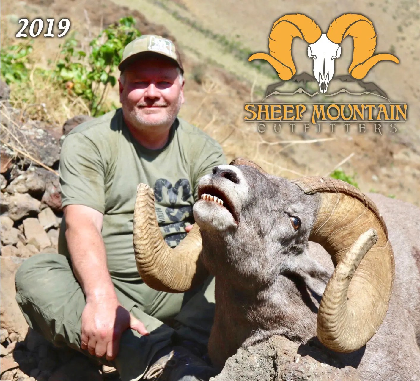 Sheep Sheep Mountain Outfitters