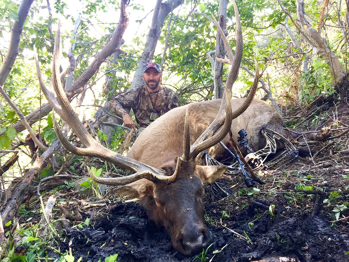 Elk Sheep Mountain Outfitters
