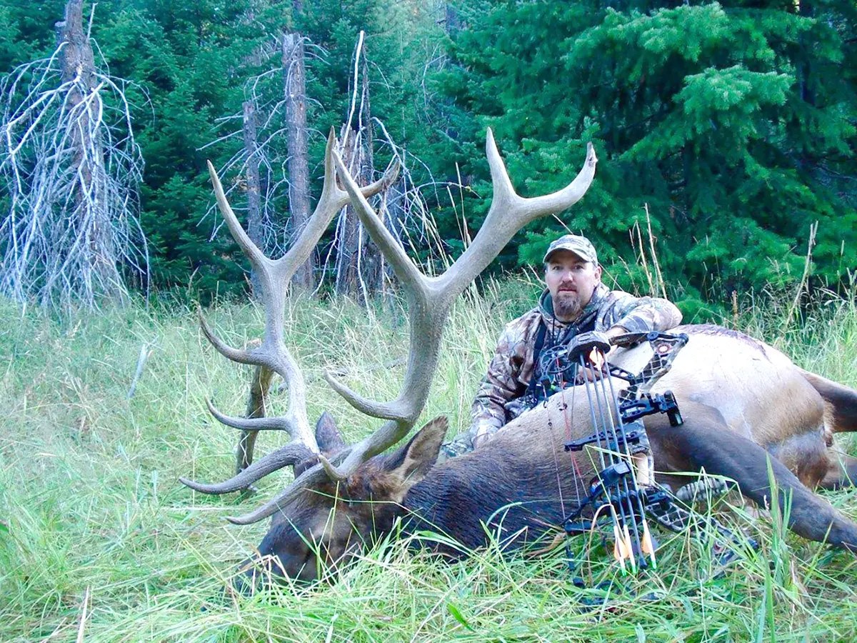 Elk Sheep Mountain Outfitters