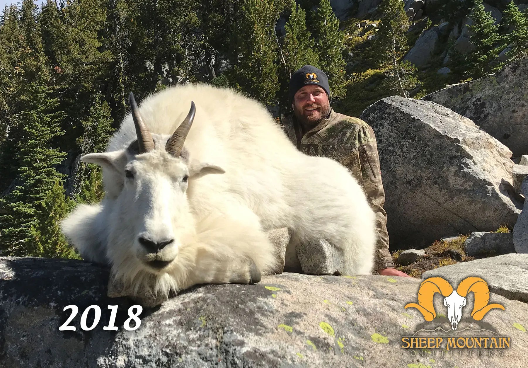 Oregon Goats Sheep Mountain Outfitters