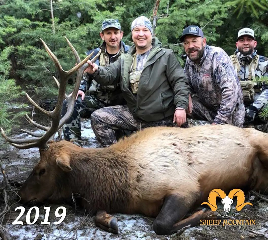 Elk Sheep Mountain Outfitters