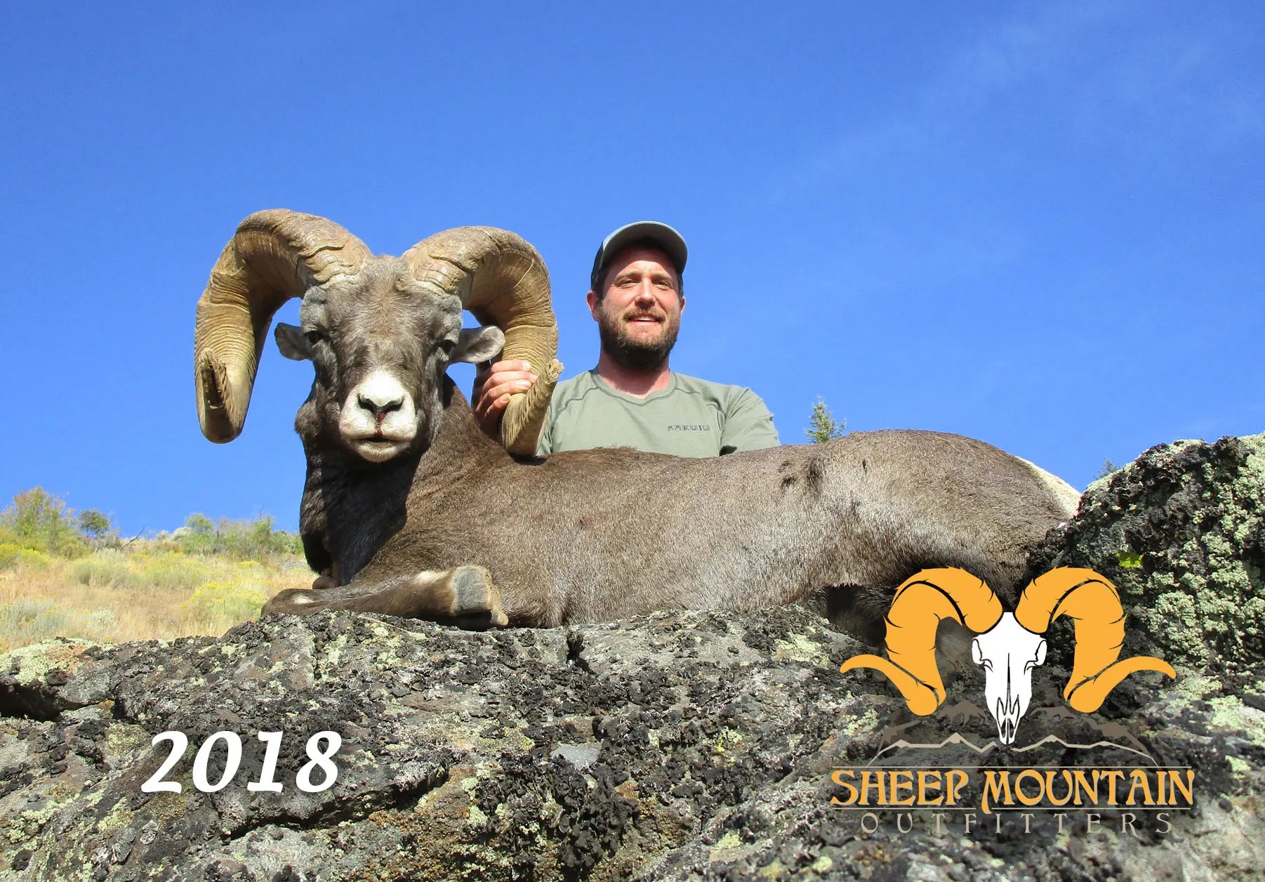 Sheep Sheep Mountain Outfitters