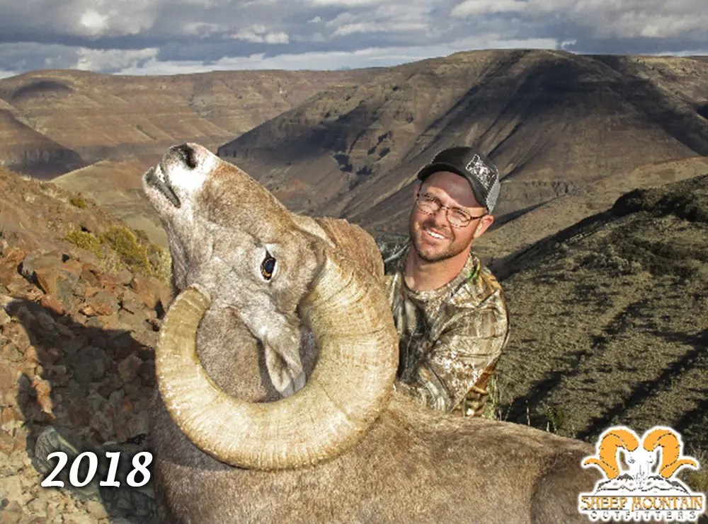 Sheep Sheep Mountain Outfitters