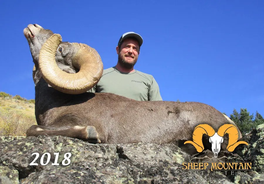 Sheep Sheep Mountain Outfitters