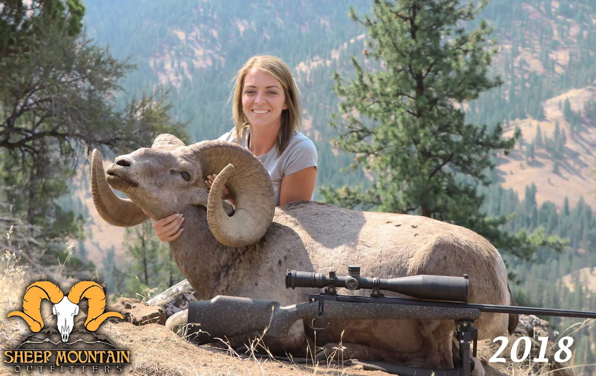 Sheep Sheep Mountain Outfitters