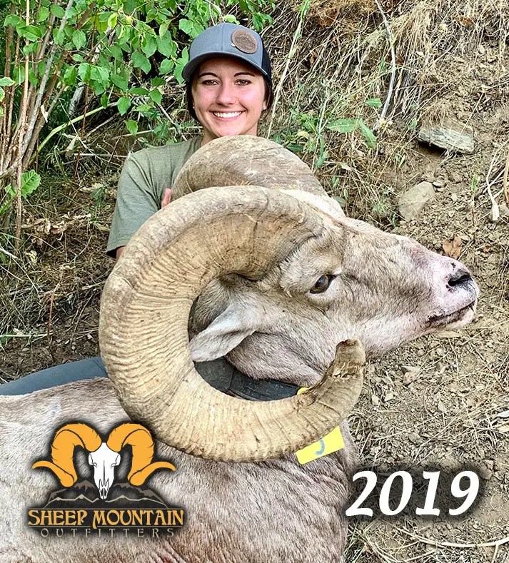 Sheep Sheep Mountain Outfitters