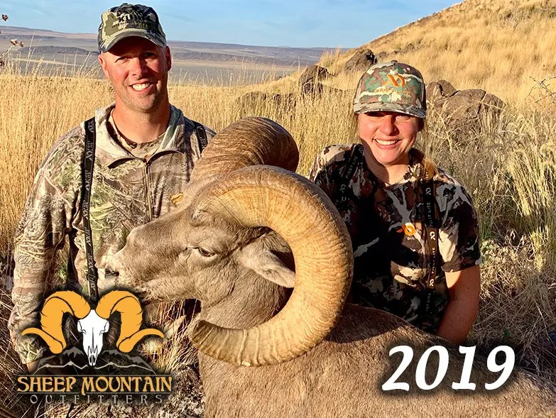 Sheep Sheep Mountain Outfitters