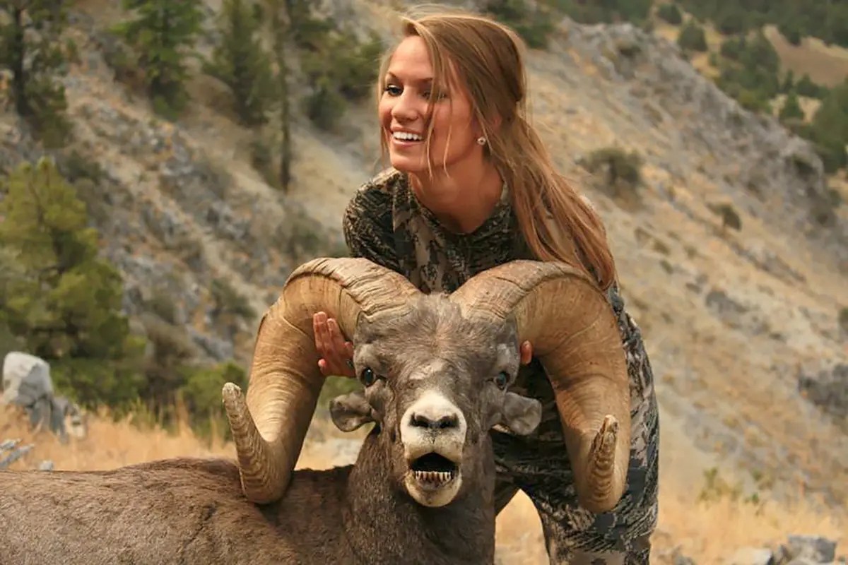 Sheep Sheep Mountain Outfitters