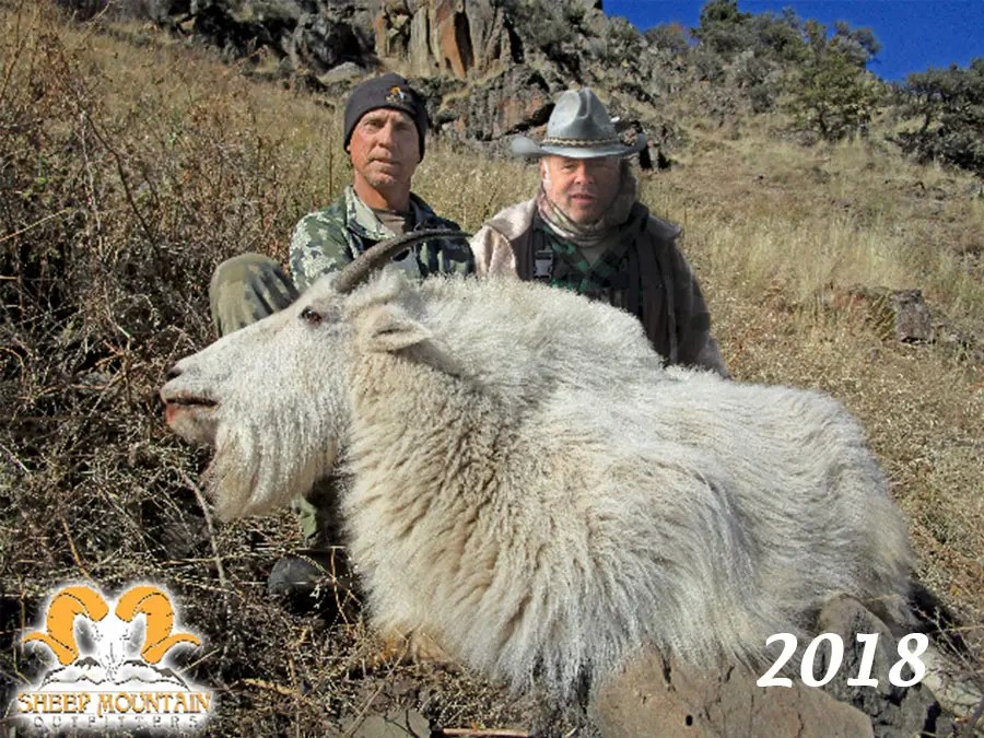 Oregon Goats Sheep Mountain Outfitters