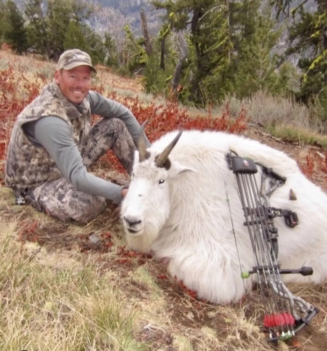 Oregon Goats Sheep Mountain Outfitters