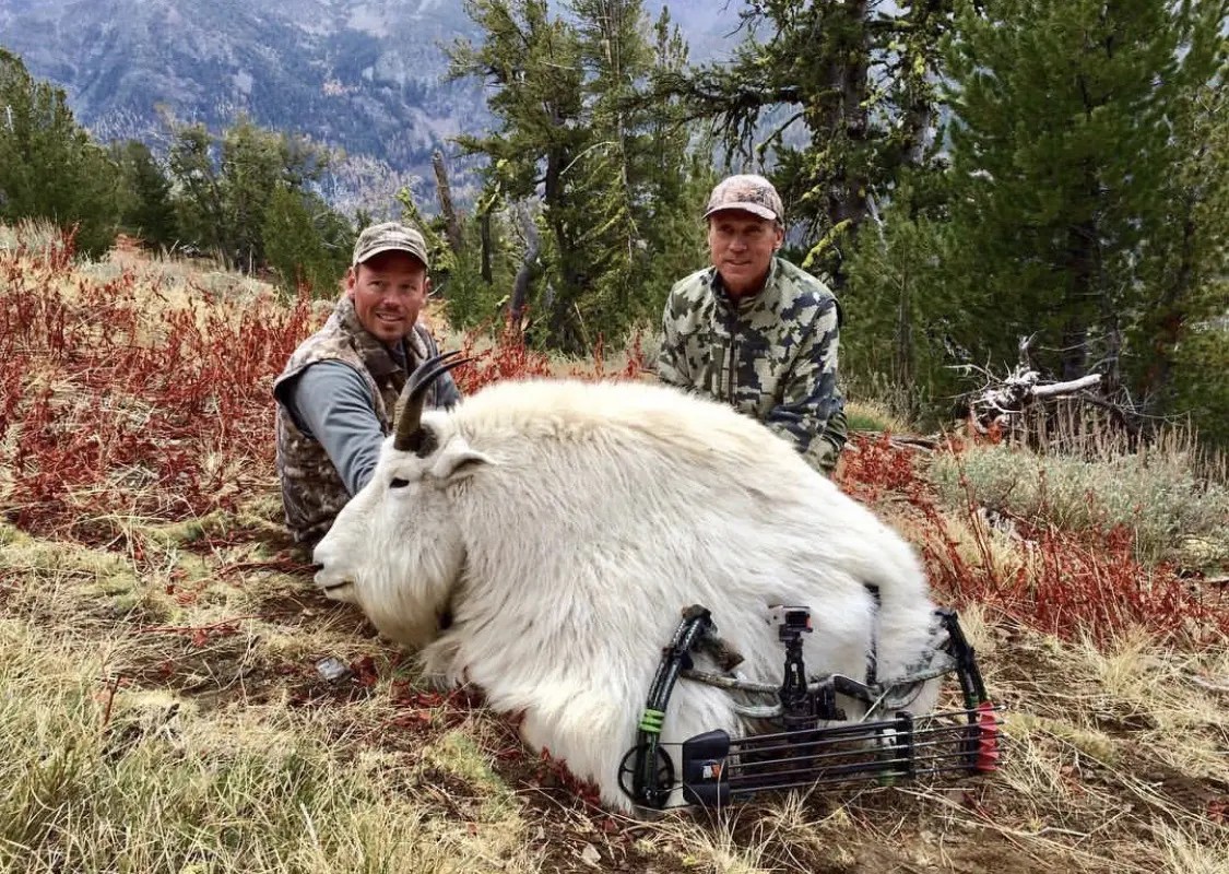 Oregon Goats Sheep Mountain Outfitters
