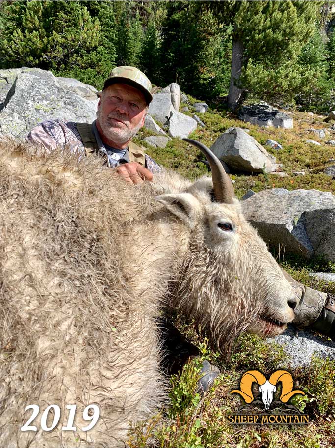 Oregon Goats Sheep Mountain Outfitters