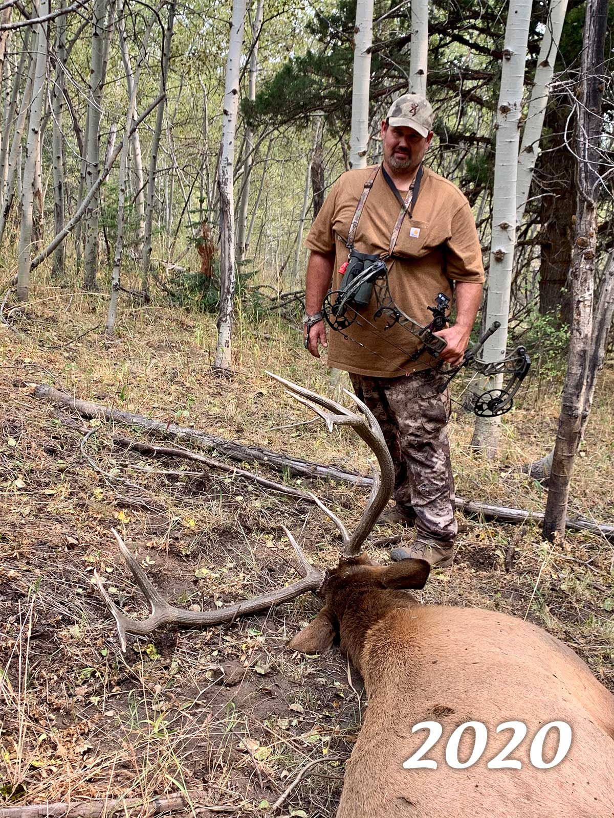 Elk Sheep Mountain Outfitters