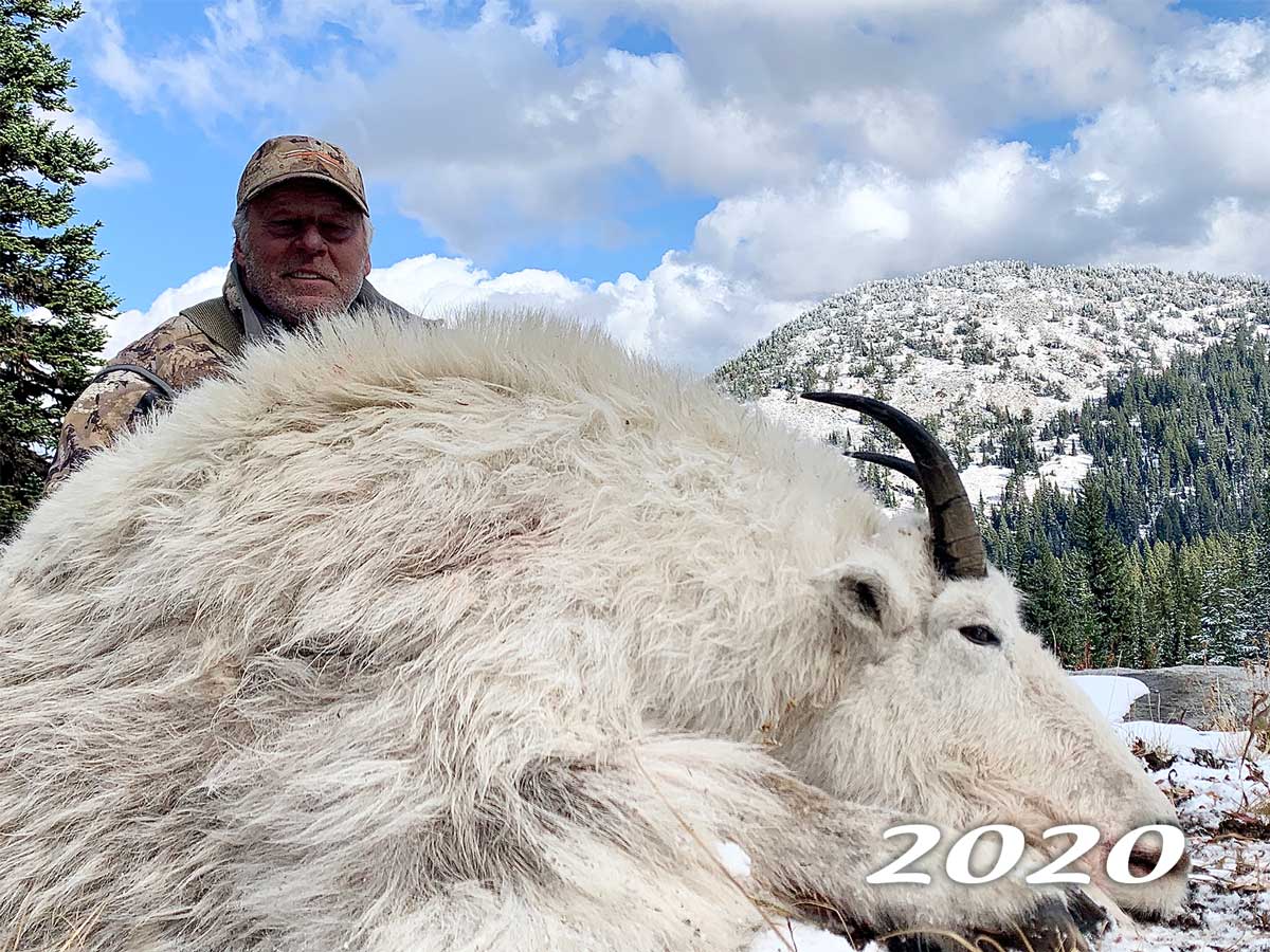 Oregon Goats Sheep Mountain Outfitters