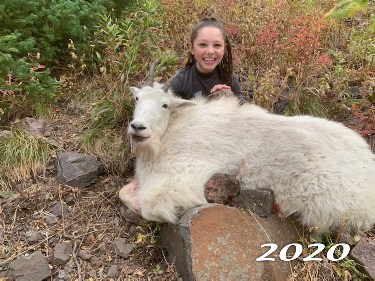 Oregon Goats Sheep Mountain Outfitters