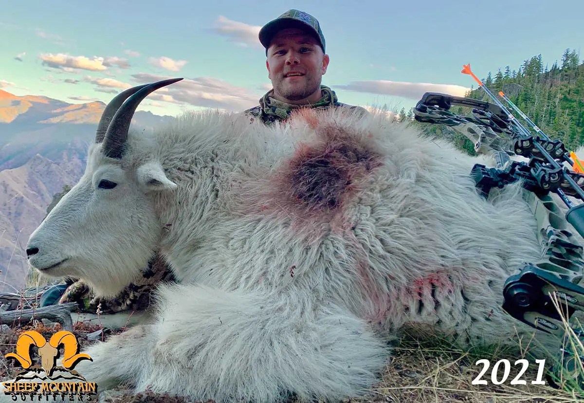 Oregon Goats Sheep Mountain Outfitters