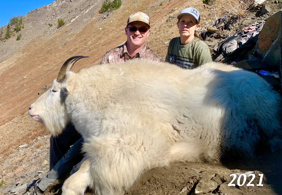 Oregon Goats Sheep Mountain Outfitters