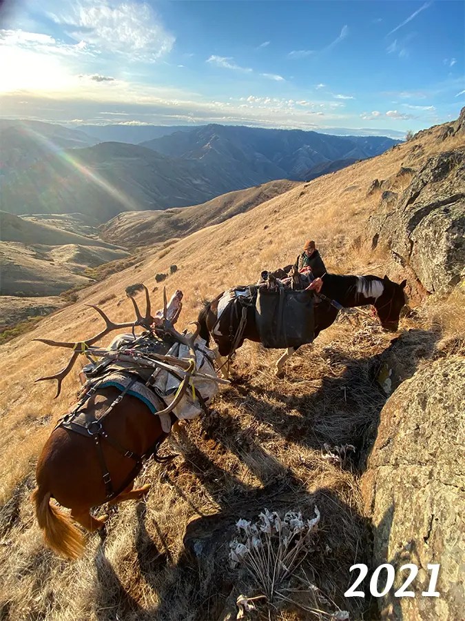 Elk Sheep Mountain Outfitters