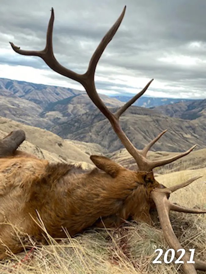Elk Sheep Mountain Outfitters