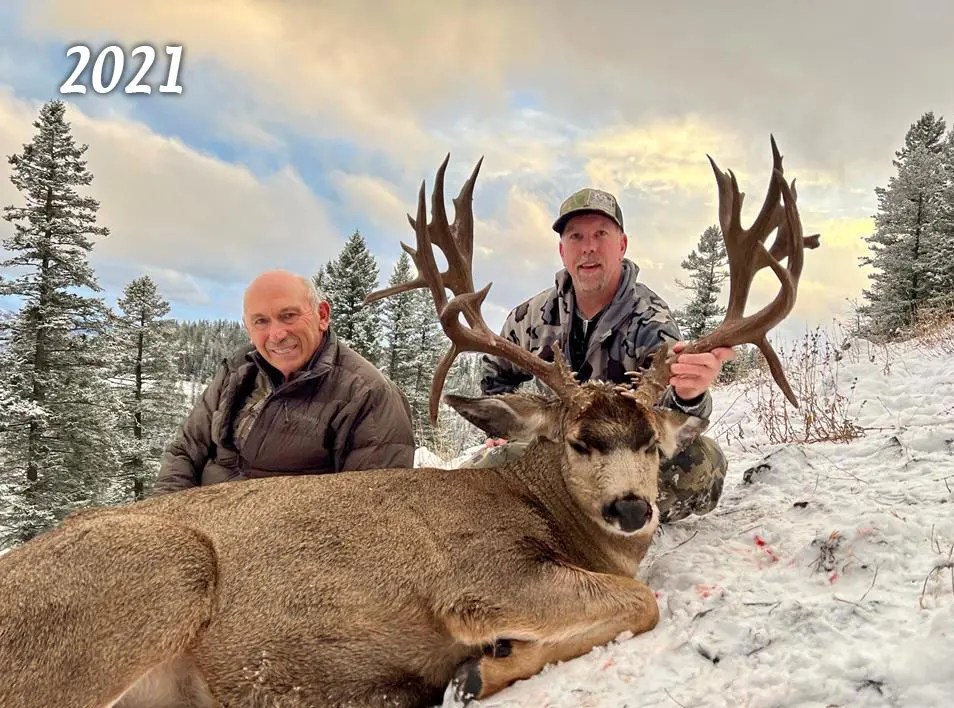 Mule Deer Sheep Mountain Outfitters