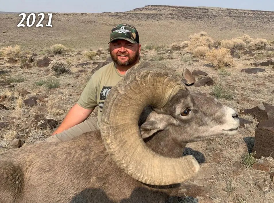 Sheep Sheep Mountain Outfitters