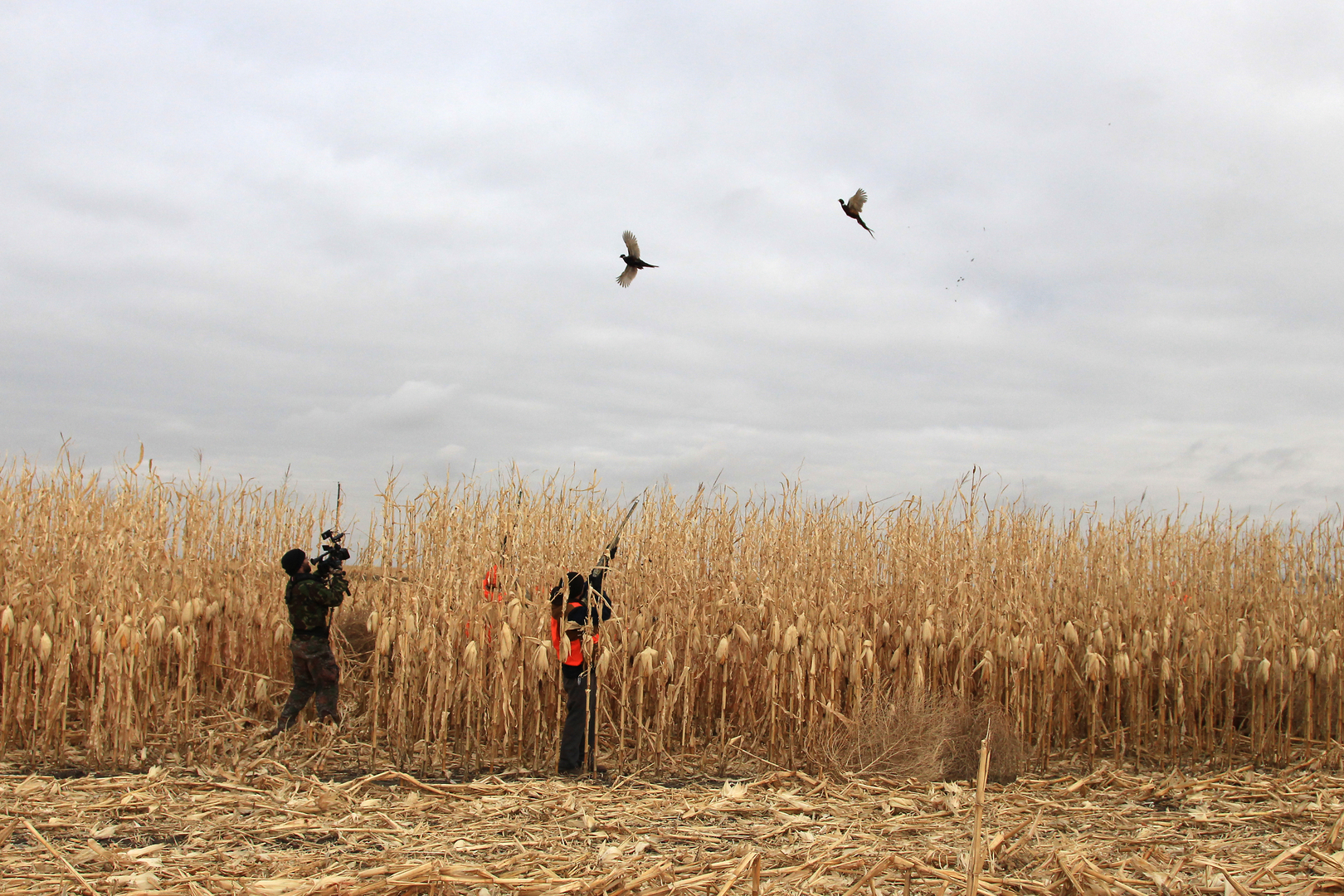 Coteau View Hunting Ranch Game Farm and Guide Service Listing in