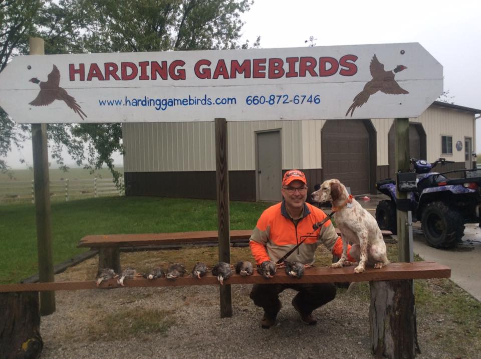 Harding Gamebird Farm Game Farm and Guide Service Listing in Missouri HuntSpotz Your