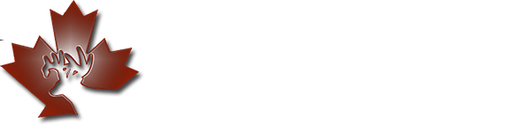 Whitetail Deer Hunting