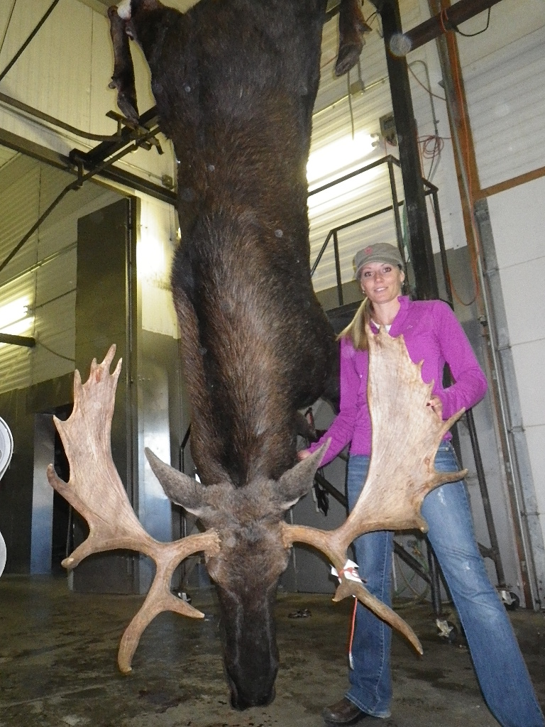 Montana Best Moose Hunts Montana Hunting Outfitter