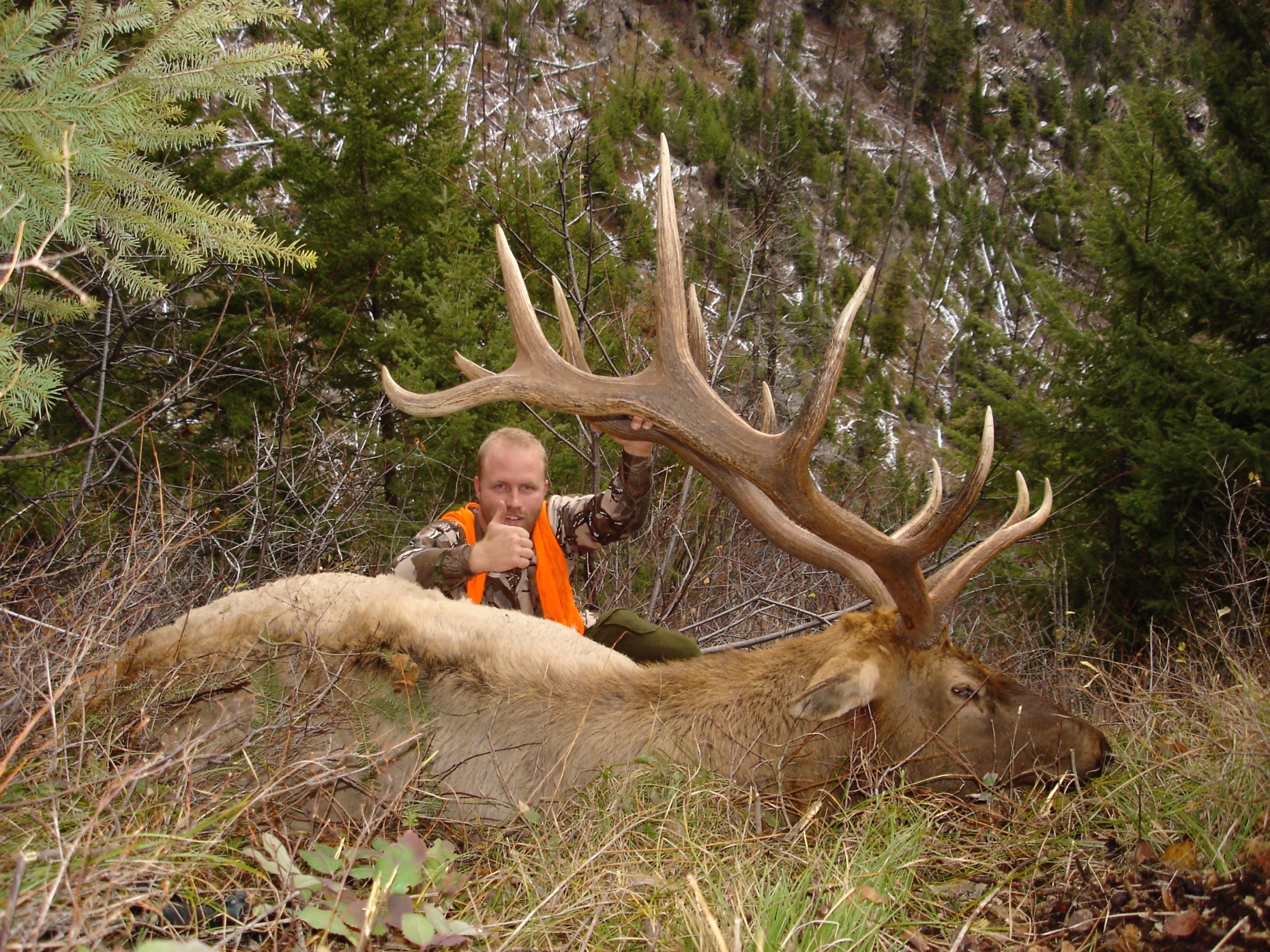 Elk Hunting Trips, Rifle, Archery Big Bull Elk Hunts