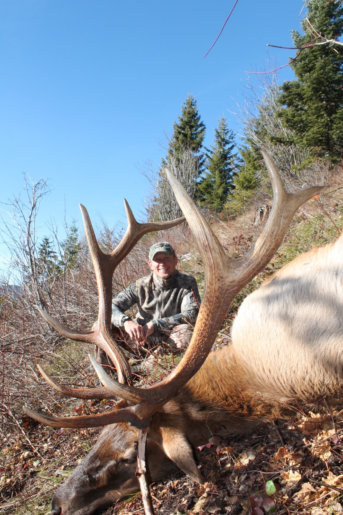 Elk Hunting Trips, Rifle, Archery Big Bull Elk Hunts