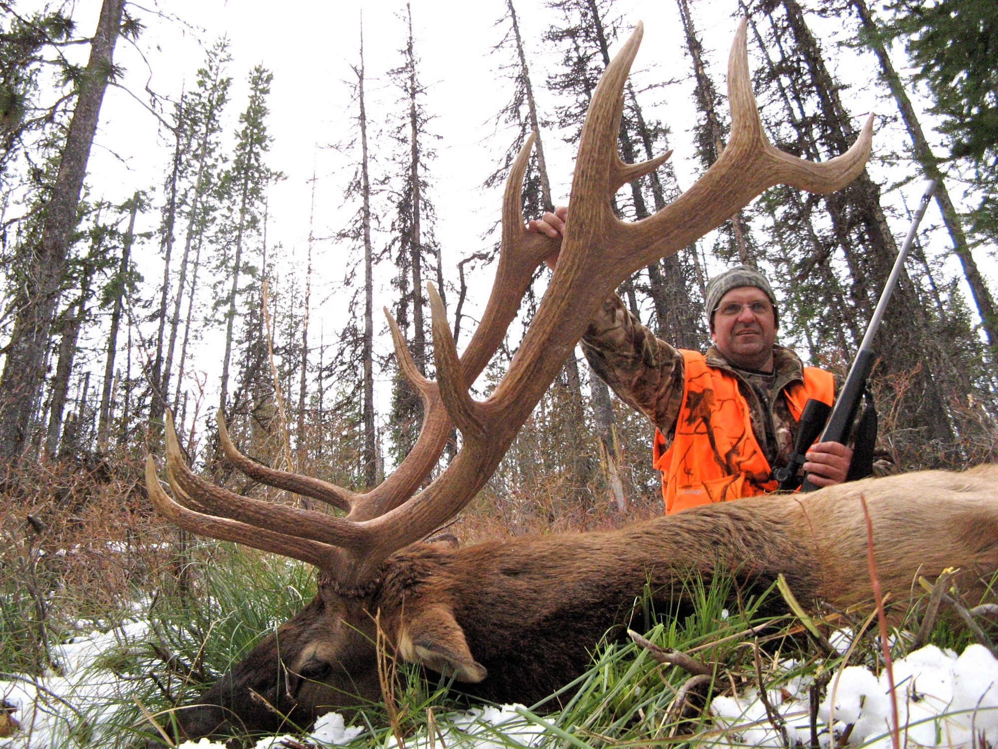 Elk Hunting Trips, Rifle, Archery Big Bull Elk Hunts
