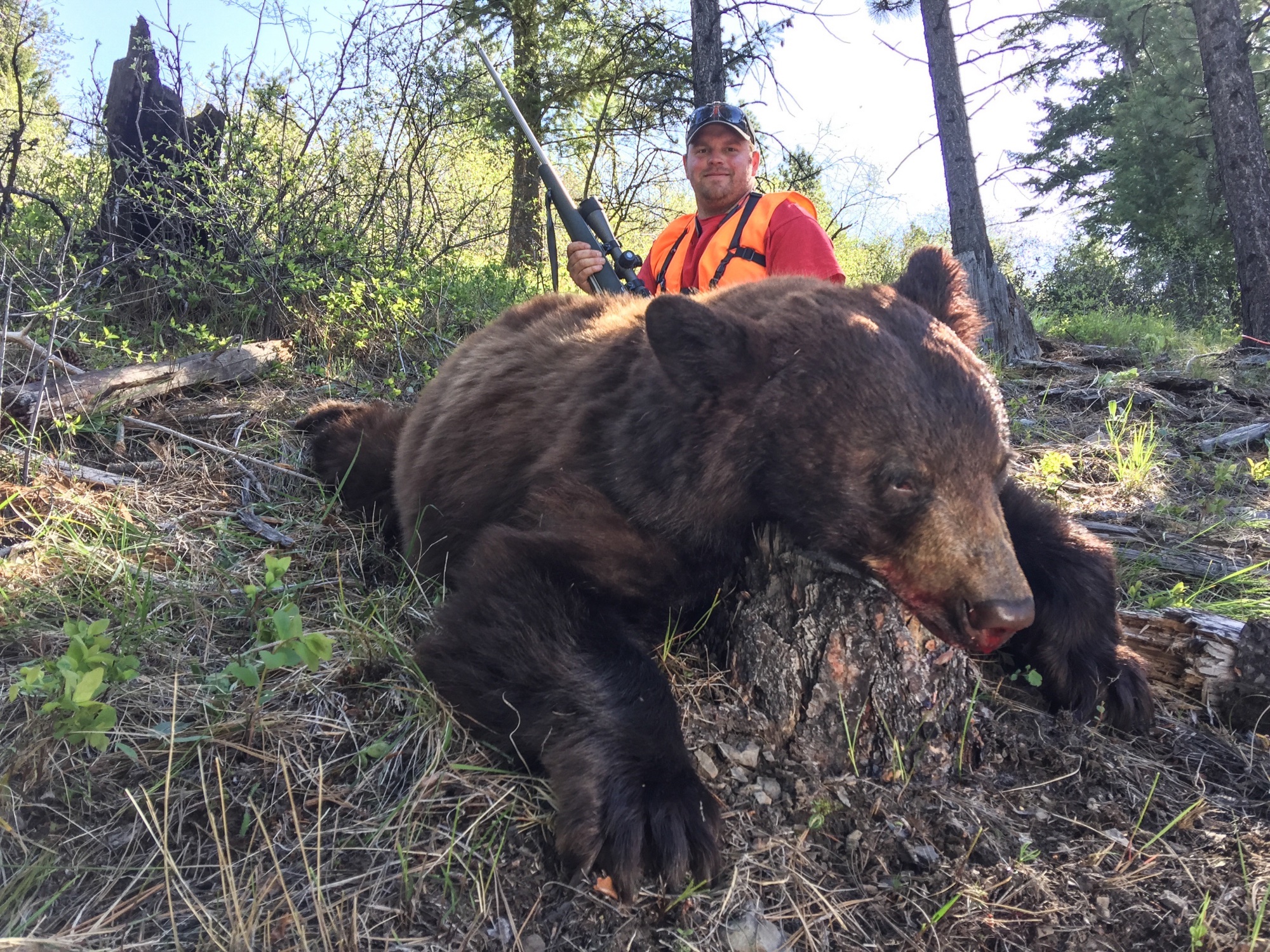 Bear Hunting Trips, Fall, Spring Bear Hunts, Big Trophy Bear