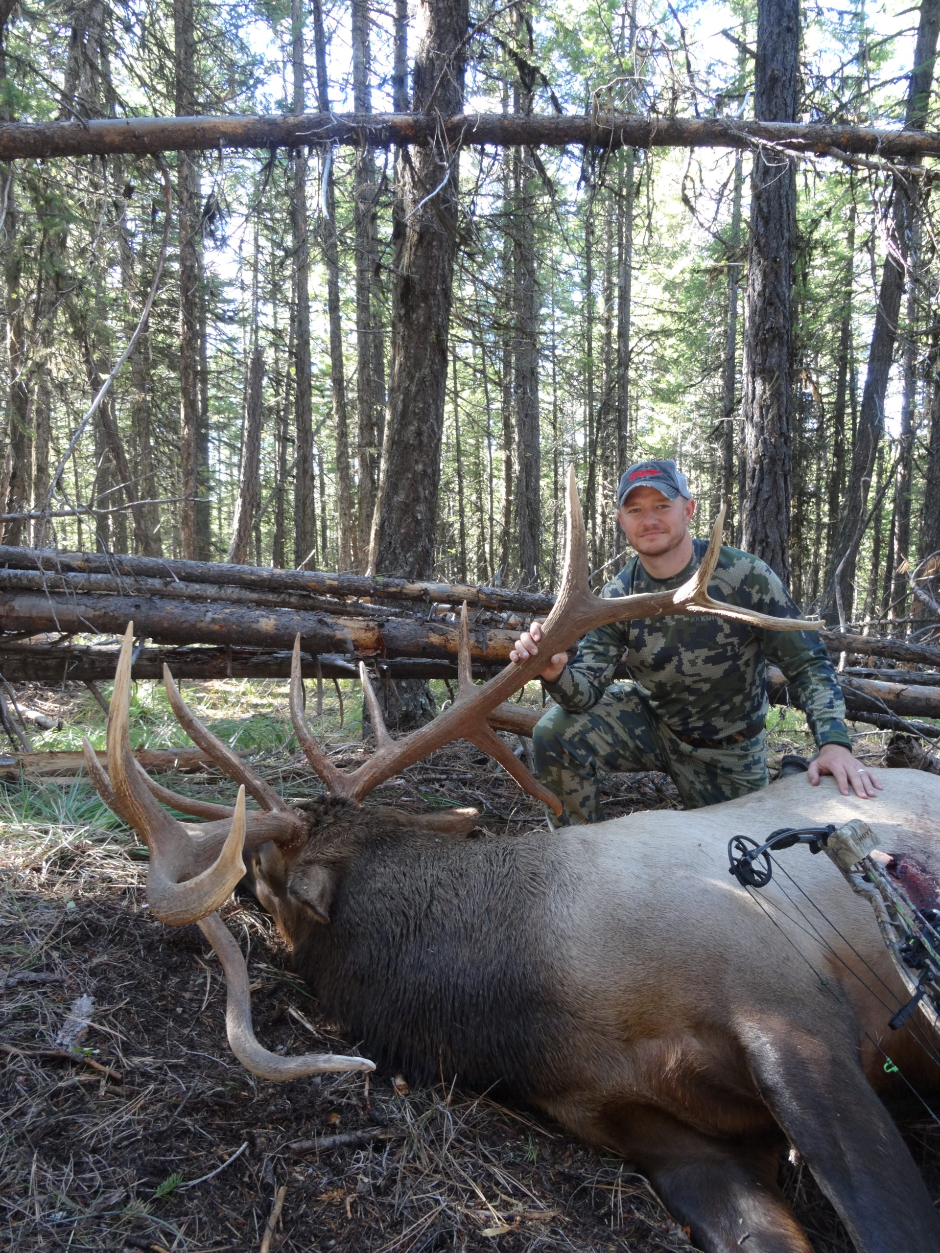 Best Archery Elk Hunts Montana Hunting Outfitter