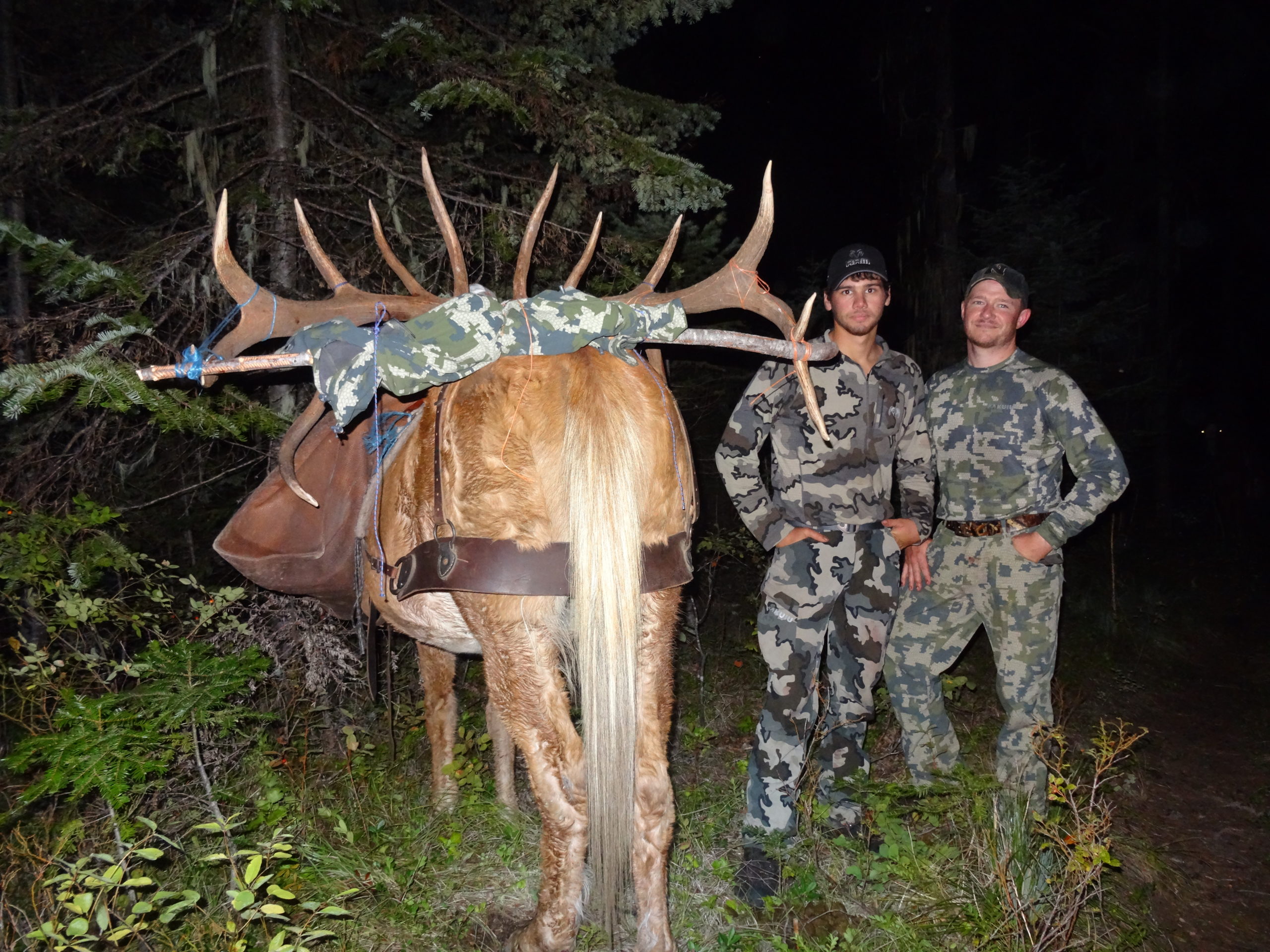 Best Montana Archery Elk Hunts Montana Hunting Outfitter