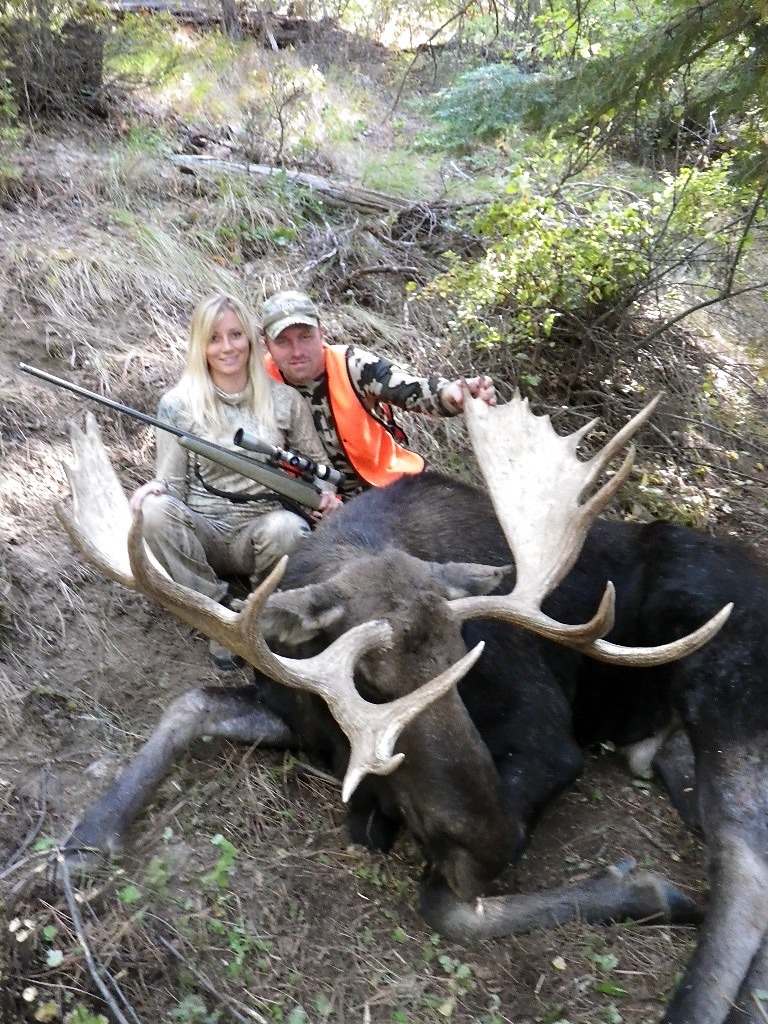 Moose Hunting, Best big Shiras Bull Moose Hunts