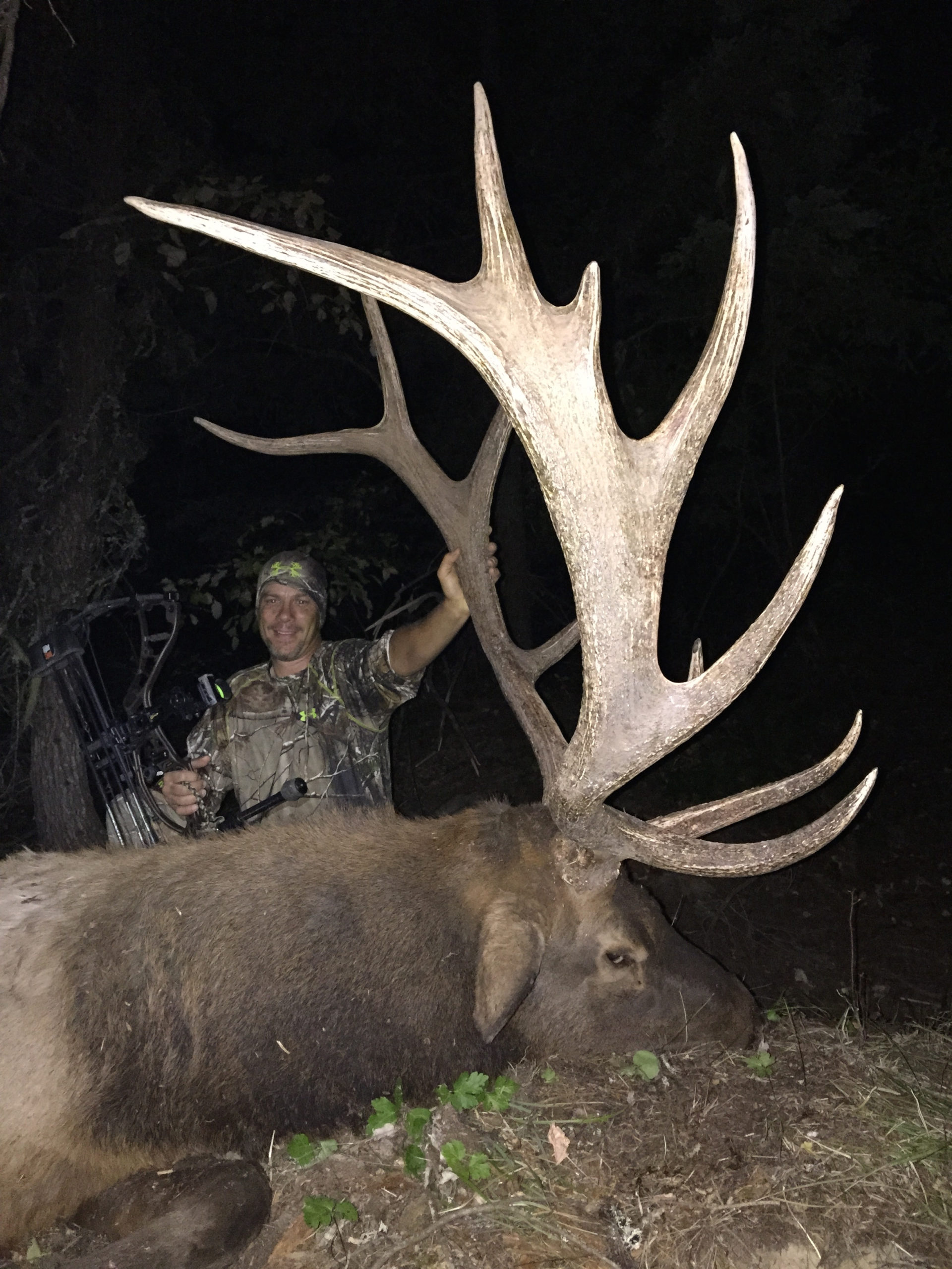 Best Archery Elk Hunts Montana Hunting Outfitter
