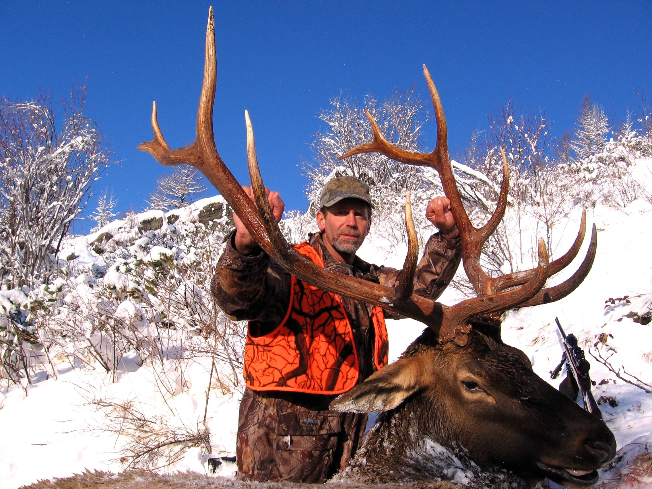 Rifle Elk Best Hunts Montana Hunting Outfitter