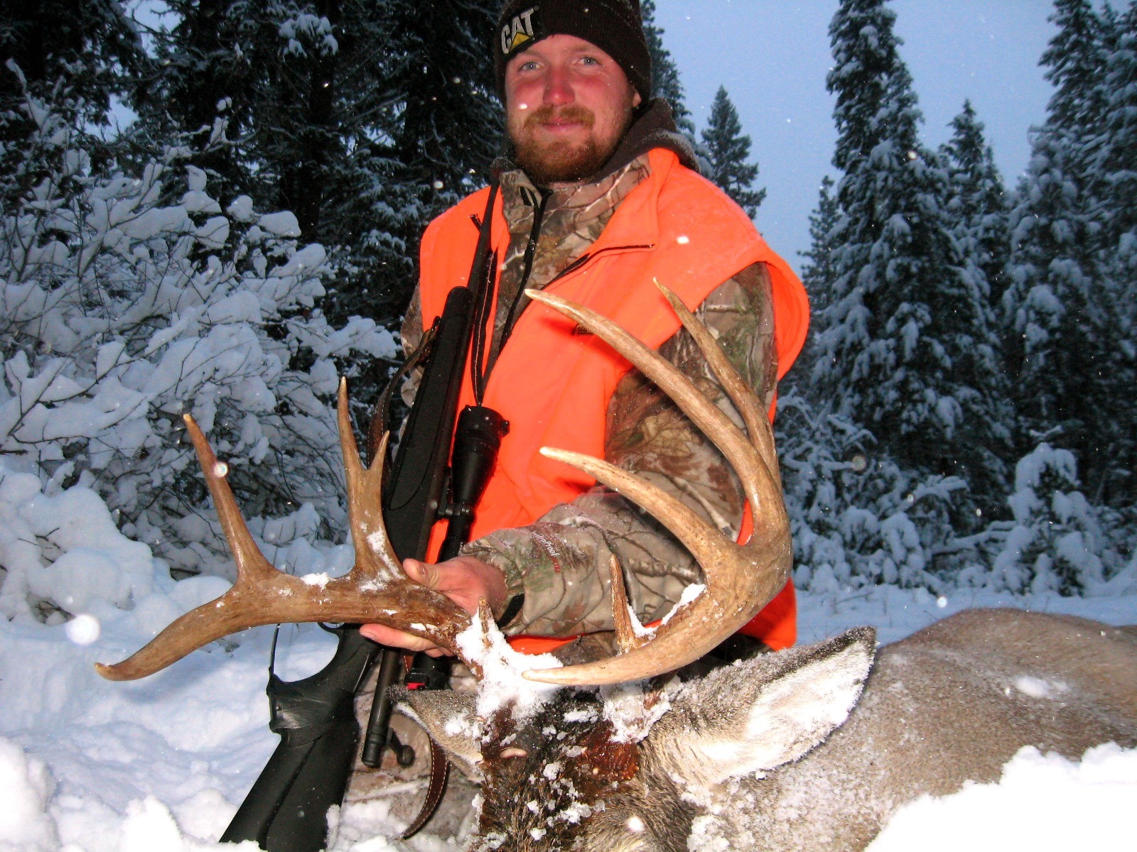 Best Montana Whitetail Deer Hunting Montana Hunting Outfitter