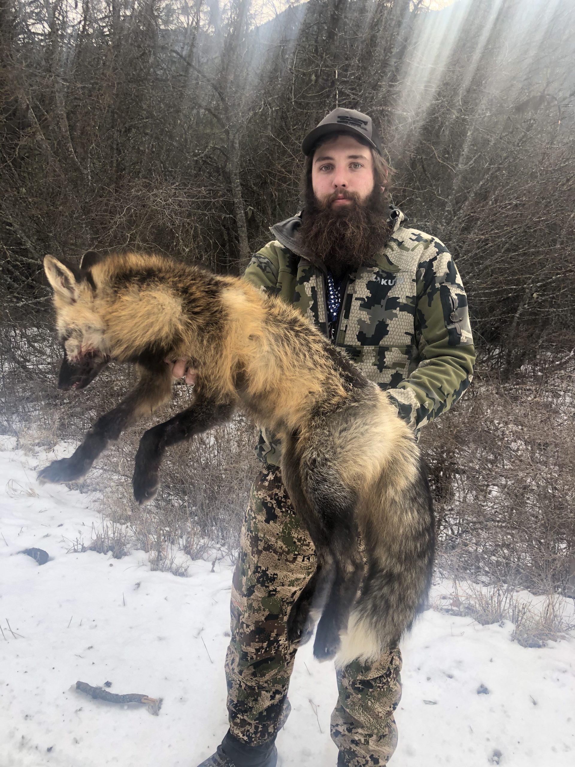 Best Montana Wolf Hunts Montana Hunting Outfitter