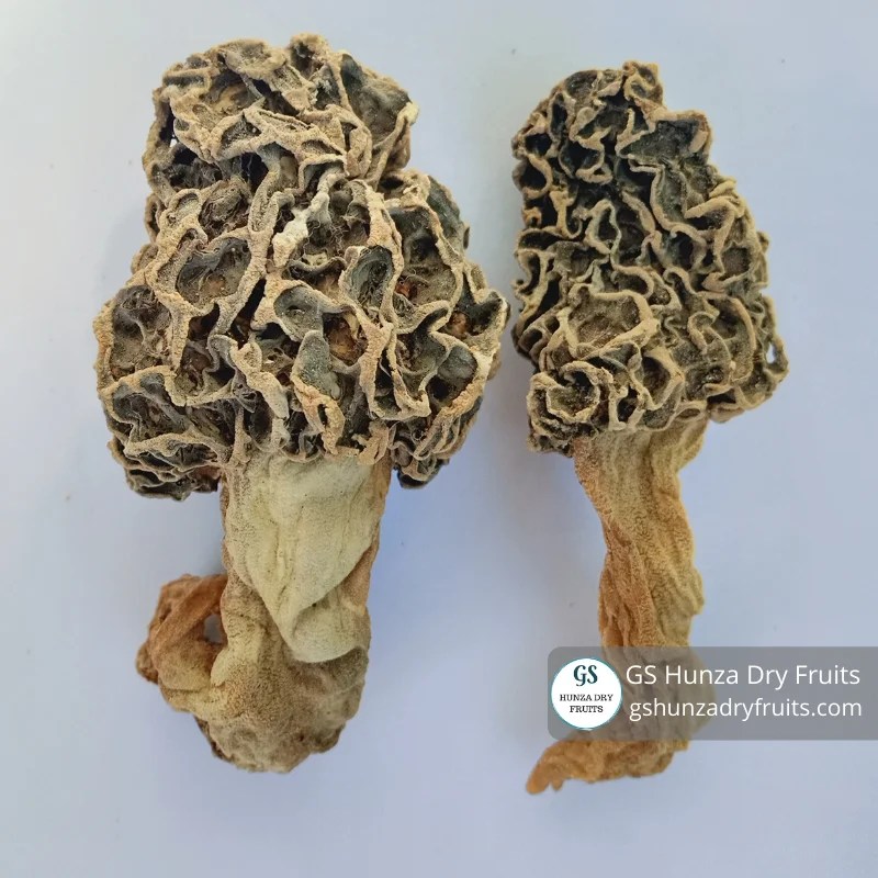 Shop Dried Morel Mushrooms From Hunza 100g at best price in Pakistan