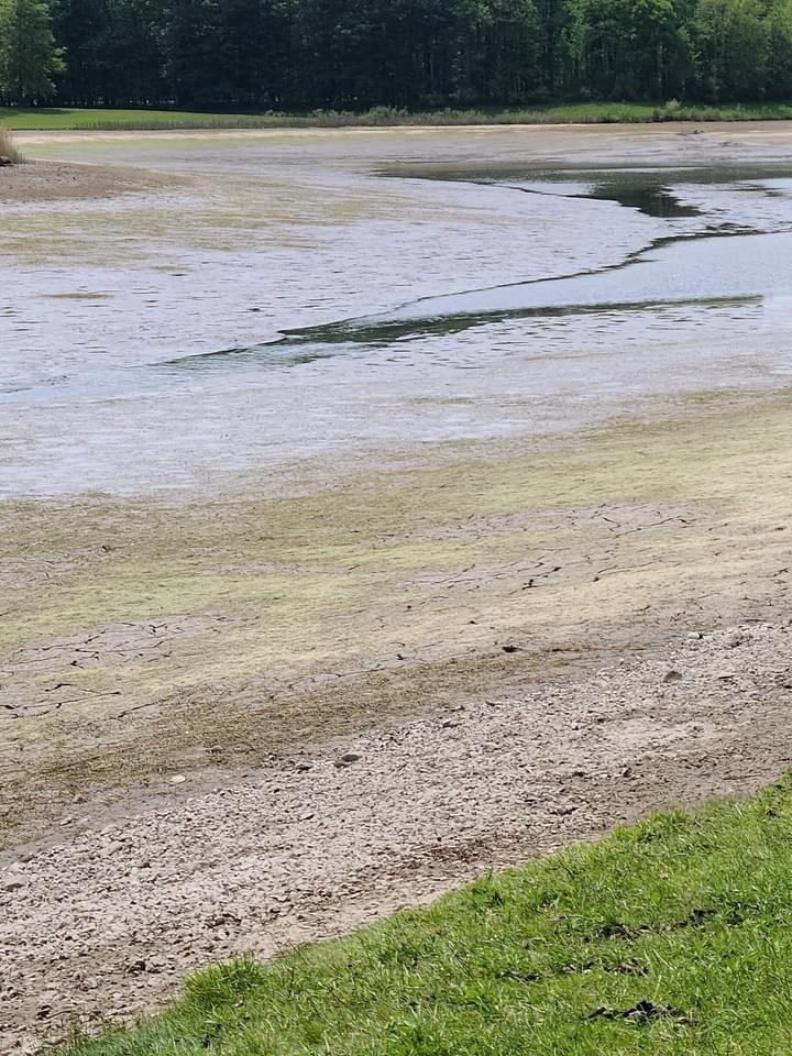 Broken pipe causes Washago Pond in Willow Metropark to drain The
