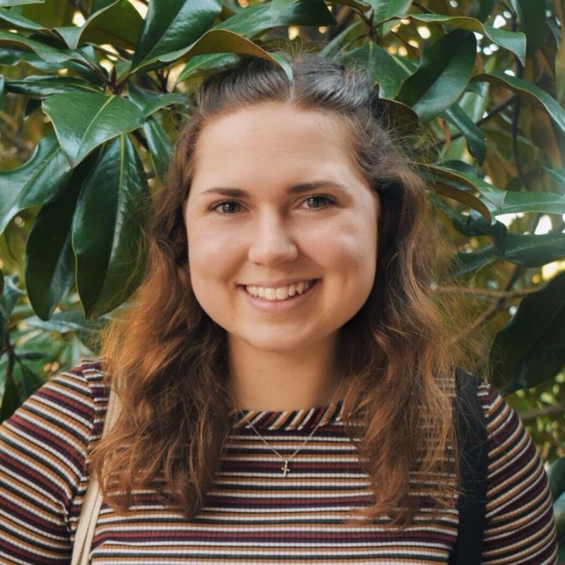 Avinger Impact Fund The Hurt HubDavidson