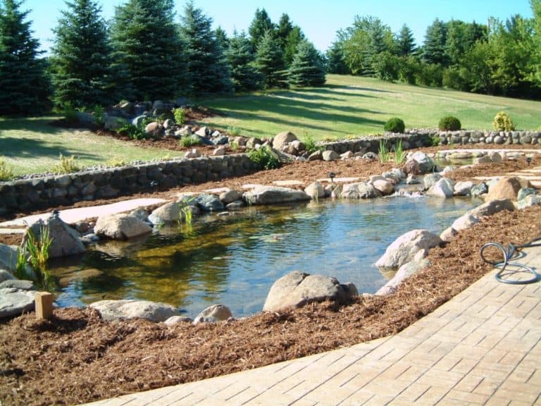 Pond Rejuvenation Hurth Waterscapes