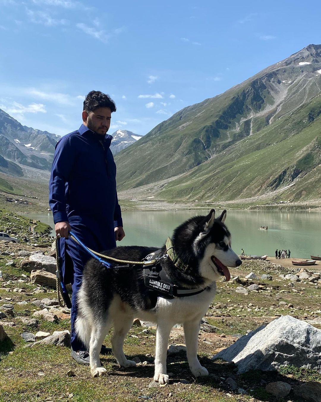 Siberian Husky Price In Pakistan (Updated Costs 2024)