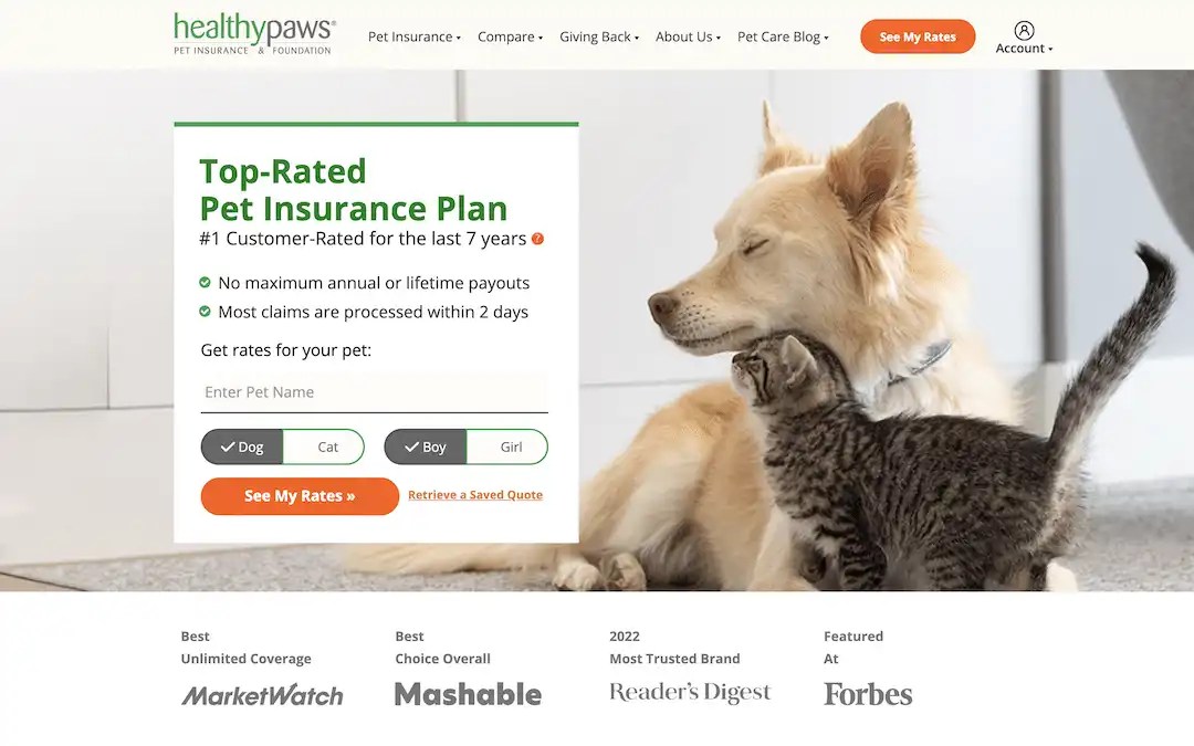 5 Best Pet Insurance for Huskies 2024 Review)