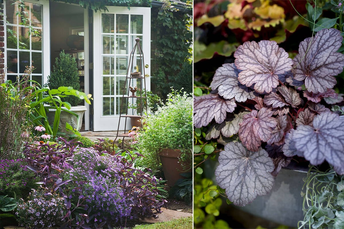 Höstgrupper I Kruka Höstplantering här är växterna som tål kylan! Hus & Hem