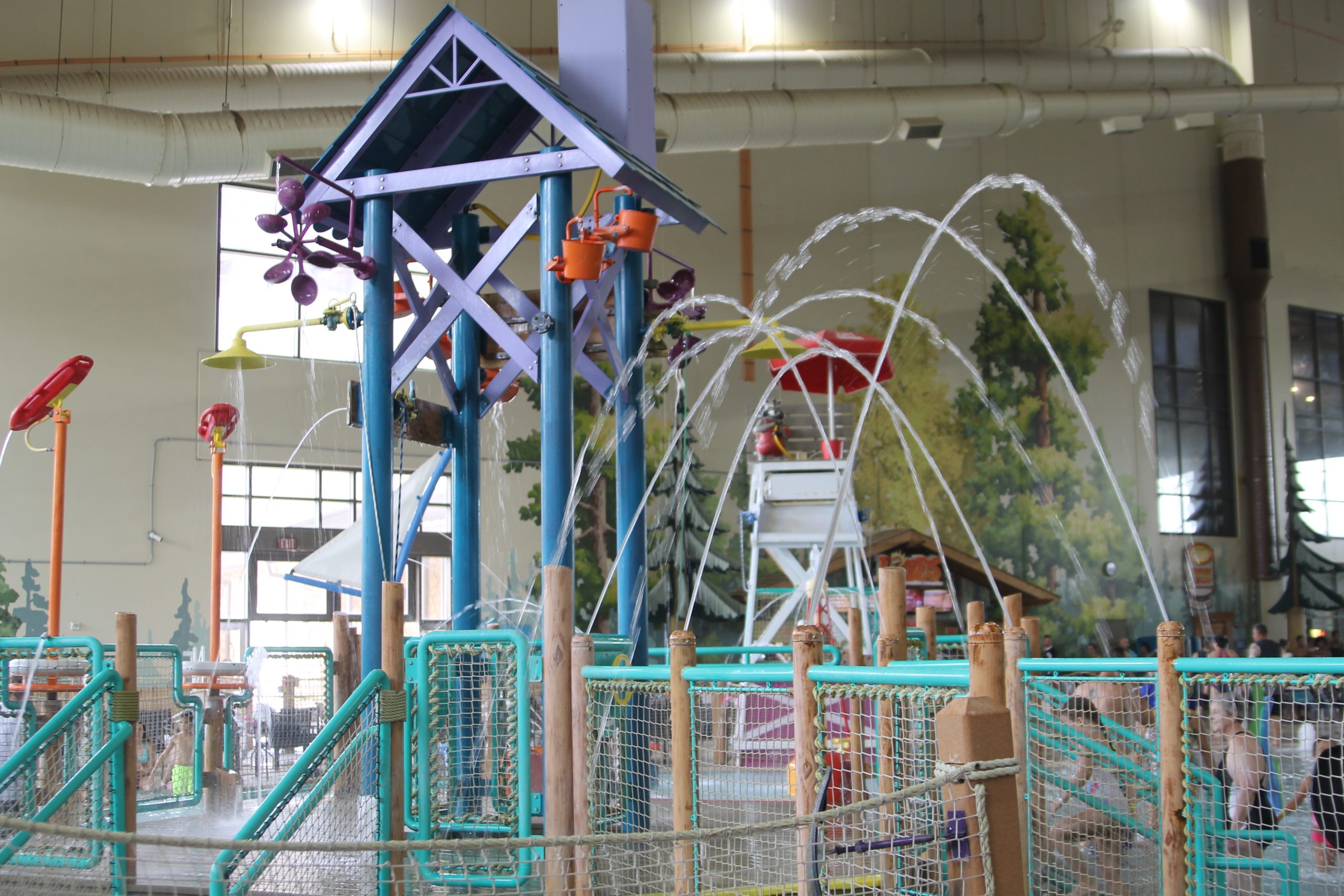 Paw Pass At Great Wolf Lodge Hustle Mom Repeat