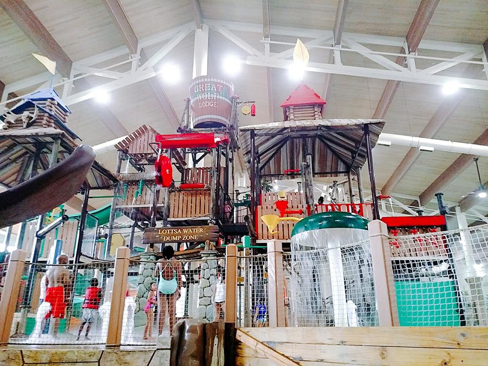 5 Reasons To Buy A Paw Pass At Great Wolf Lodge Hustle Mom Repeat